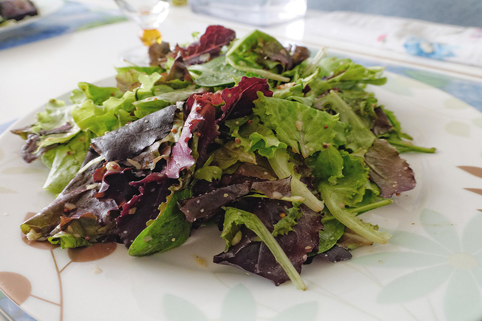 Lunch of the day